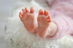 Newborn