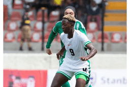 MixCollage-02-Nov-2024-07-20-PM-8662