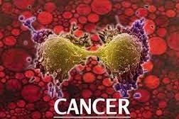 images - 2025-11-13T165515.047