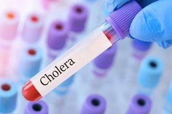 tmb-cholera-2